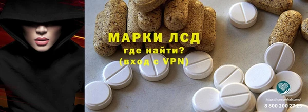 прущие грибы Балабаново