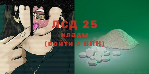 прущие грибы Балабаново