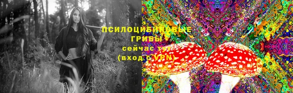 прущие грибы Балабаново