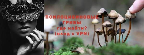 прущие грибы Балабаново