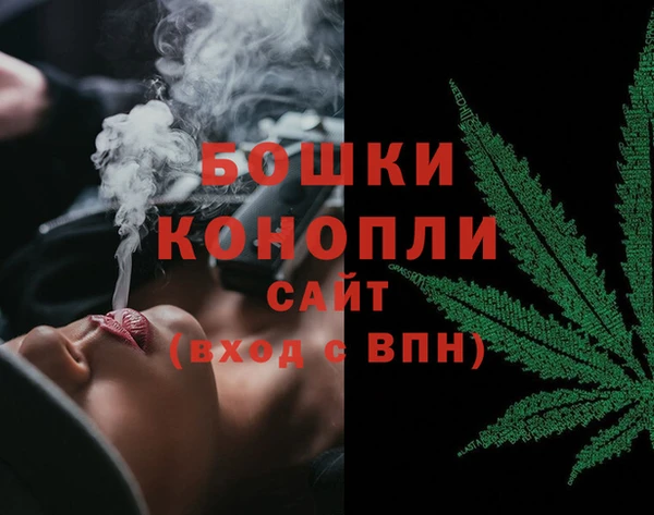 прущие грибы Балабаново