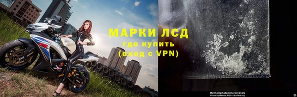 прущие грибы Балабаново